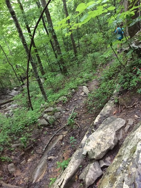 Nasty technical downhill on Natural Well Trail
