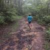 Some doubletrack trail on Natural Well.