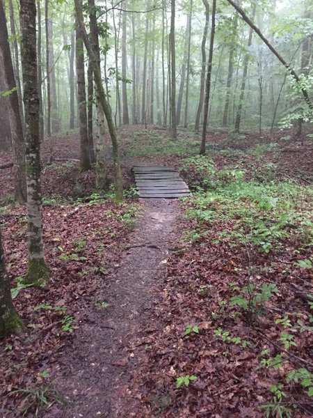 One of four wooden bridges on Arrowhead Trail