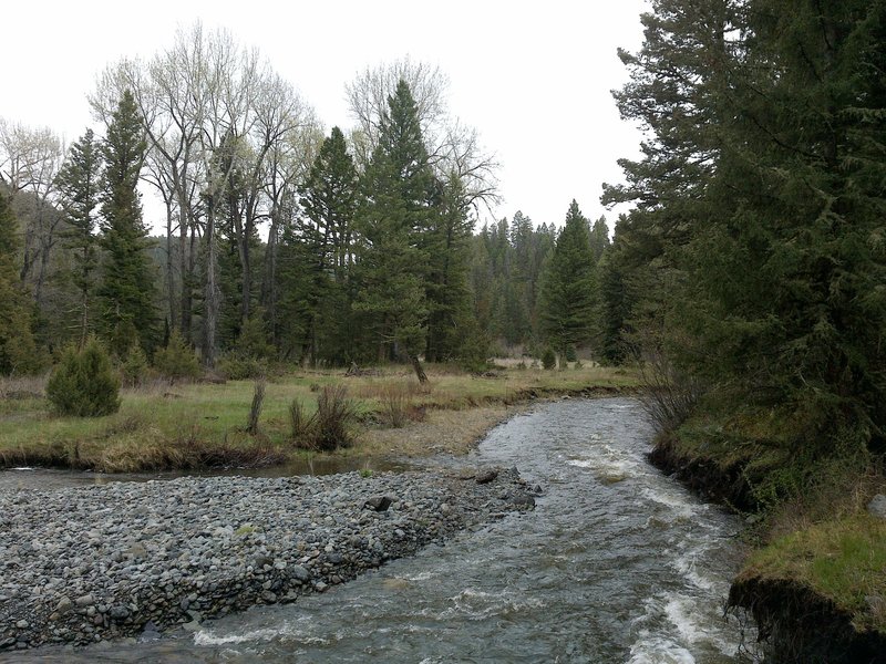 Section of Crow Creek, early in the hike.