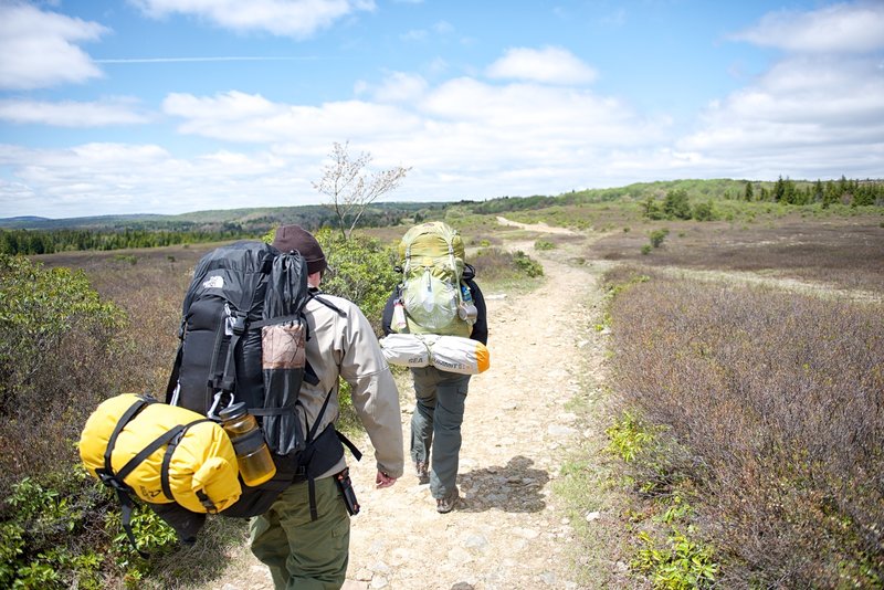 Dolly Sods Wilderness North Day Loop Hiking Trail Davis West Virginia