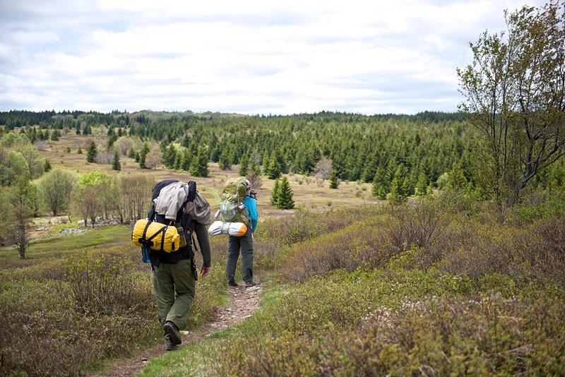 Bear Rocks trail