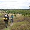 Bear Rocks trail