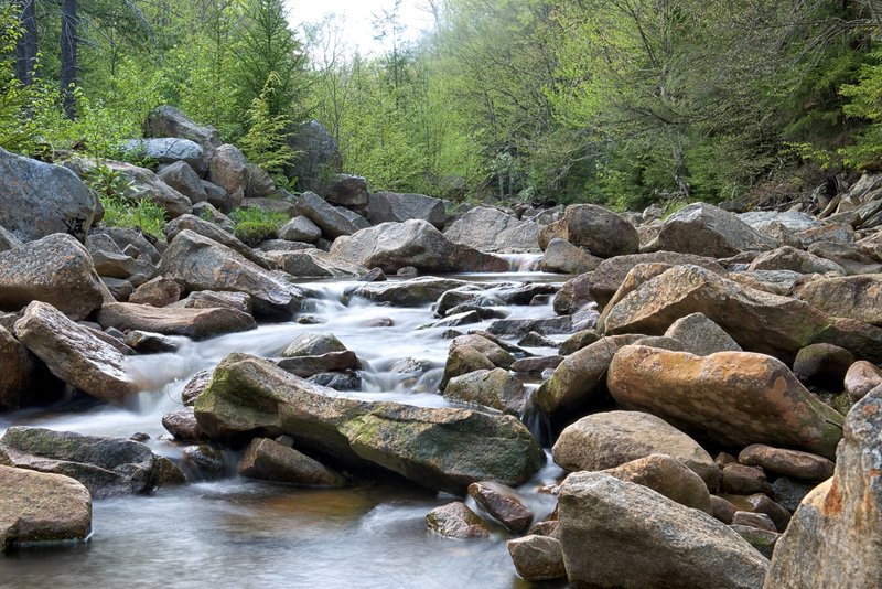 Red Creek - Dolly Sods Wilderness