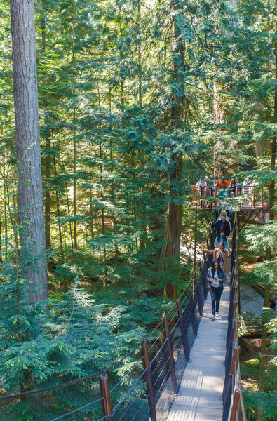 Capilano treetops adventure