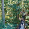 Capilano treetops adventure