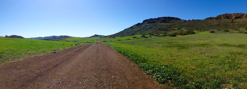 Further along the trail. You can clearly see Lizzard Rock in the distance straight ahead.