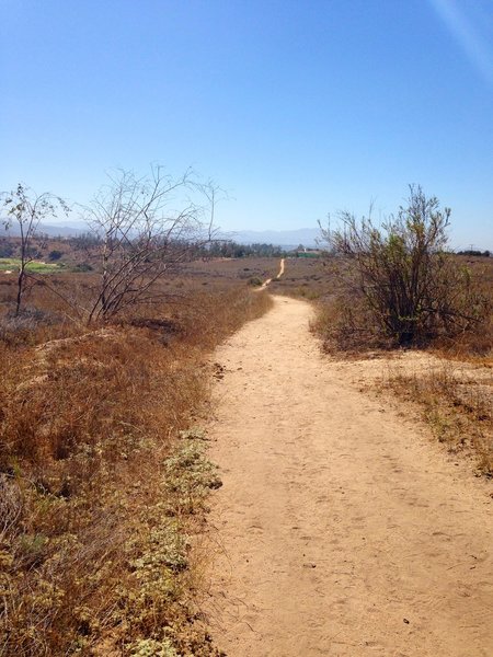 The long stretch home! You can see the parking lot straight up the trail in the distance.