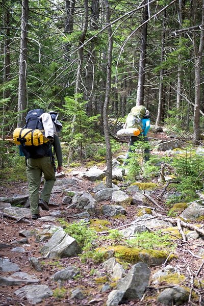 Raven Ridge Trail