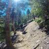 The climb to Buckhorn Campground