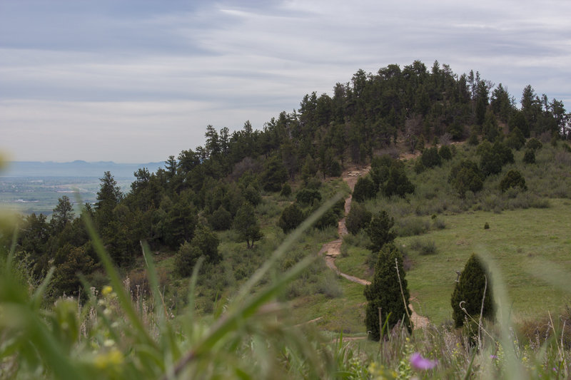 At the top of the ridge, overlooking the Zorro Trail.