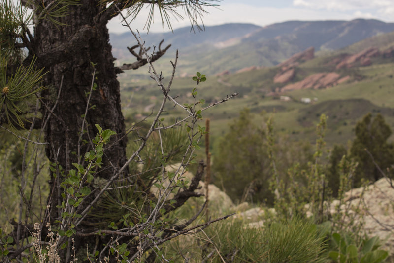 View from the ridge overlooking Red Rocks Amphitheater