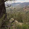 View from the ridge overlooking Red Rocks Amphitheater