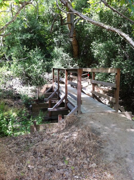 The north entrance to Coyote Run under a California Sycamore.