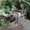 The north entrance to Coyote Run under a California Sycamore.