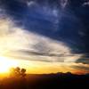 Evening view of the mountains from Pilot Butte