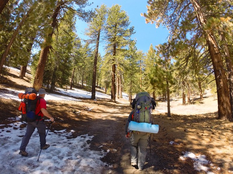 Snow is sporadic at sections of the hike.