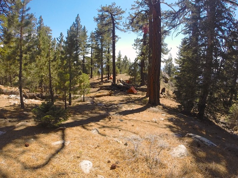 Lower Sheep Camp.