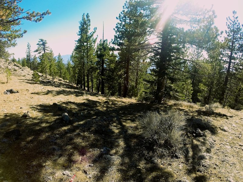 Another view of lower Sheep Camp