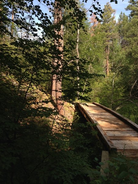 One of the bridge crossings. Credit: Adrian Whitmore