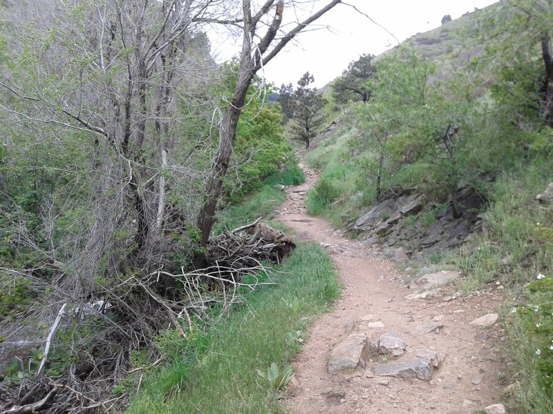 Going up the Apex Trail.