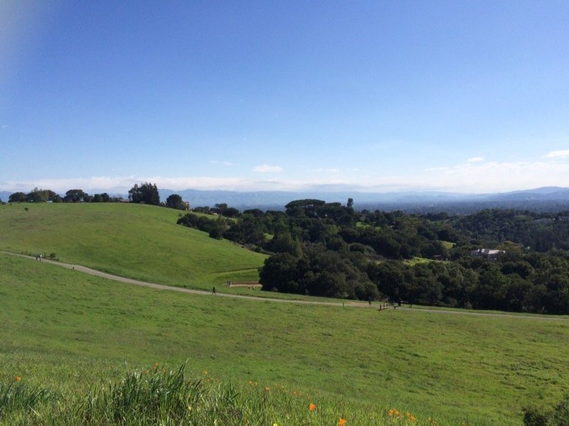 Cora Older Trail emerging