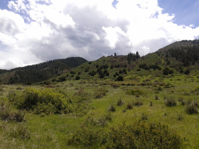 The start of the trail - beautiful foothills