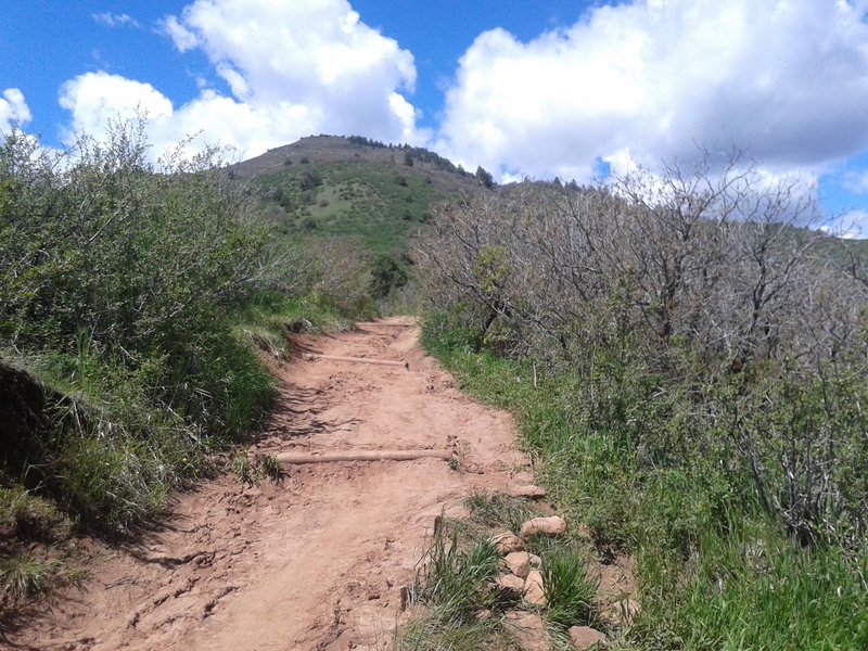 View of the trail against the foothills