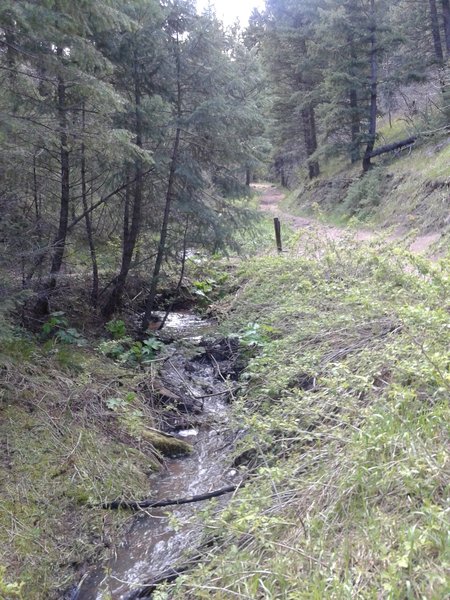 The bulk of this trail follows the creekside.