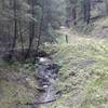 The bulk of this trail follows the creekside.