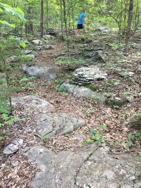 Rocky spot near the top of Red Lizard Trail