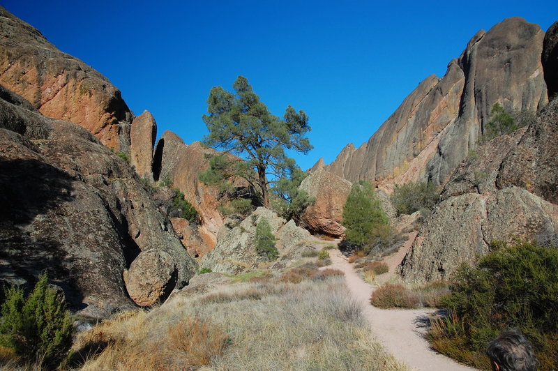 The view down Tunnel Trail.