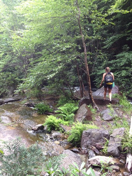 Following the Glen Onoko Trail up