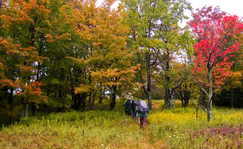 Hiking uphill on the Raven Ridge Trail