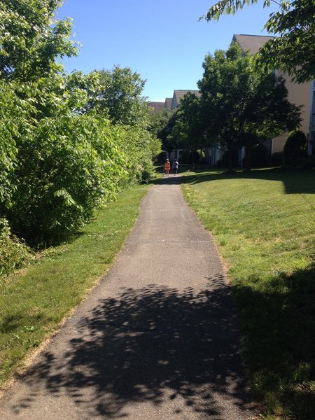 Neighborhood side of the lake