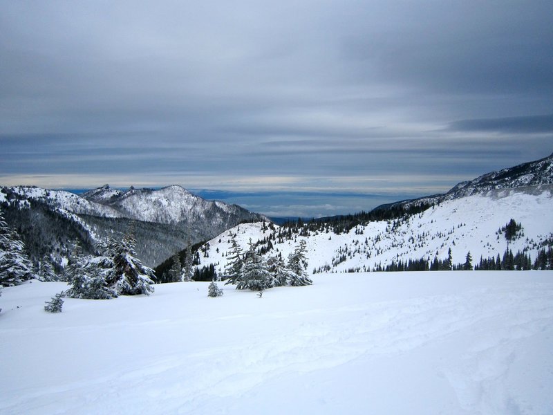 Hurricane Ridge in the Olympic National Park