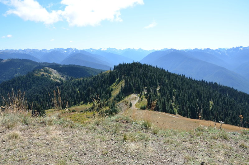 Hurricane Ridge, Olympic National Park