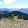 Hurricane Ridge, Olympic National Park