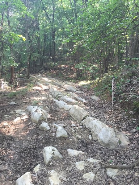 Rocks protruding from the trail.