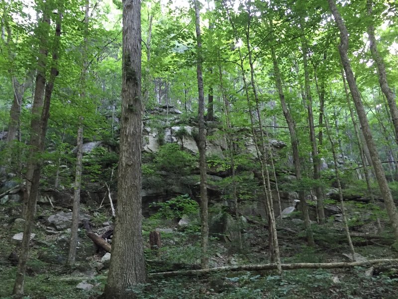 The bench that most of the Flat Rock trail follows.