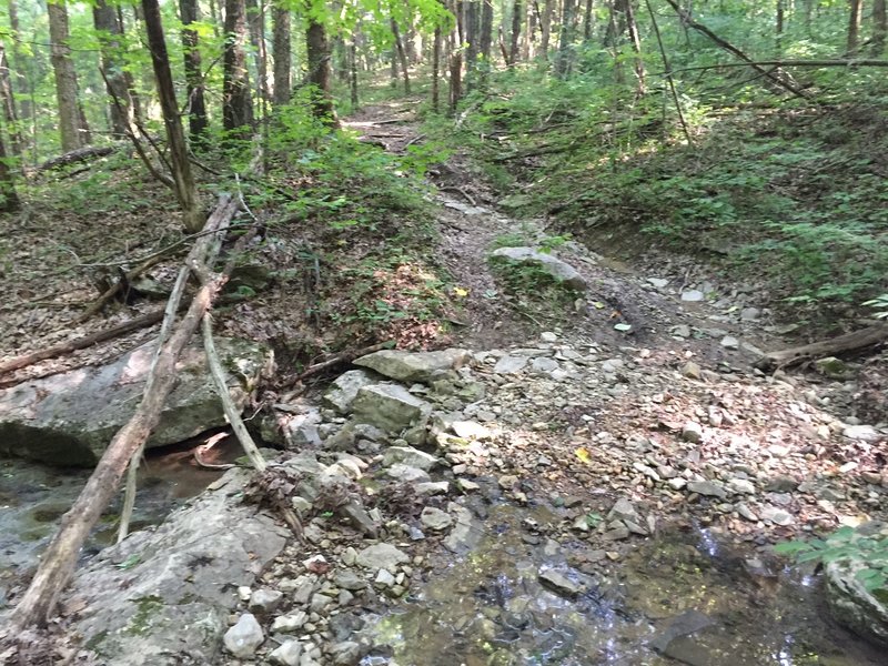 Creek crossing on Flat Rock Trail