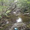 Creek by our campsite