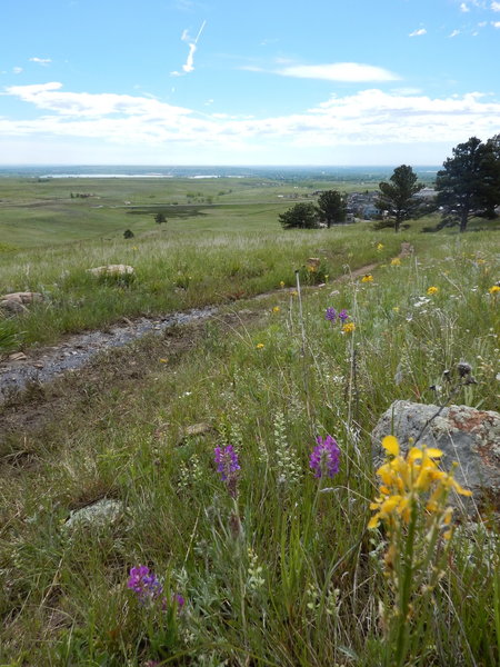 Views east from the Hogback Ridge Trail