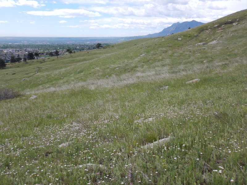 Flatirons and Green Mountain in the distance to the south