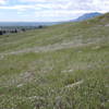 Flatirons and Green Mountain in the distance to the south