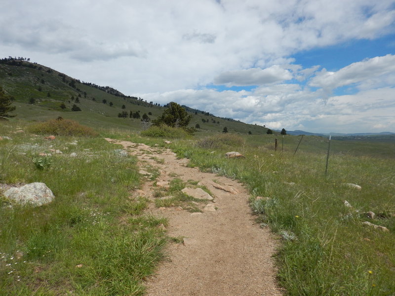 The wide and spacious Foothills North Trail