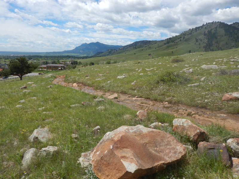 Distant Green Mountain and Flatirons views from the North Foothills Trail