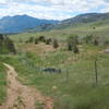 Nearby neighborhoods encroach on the Foothills North Trail