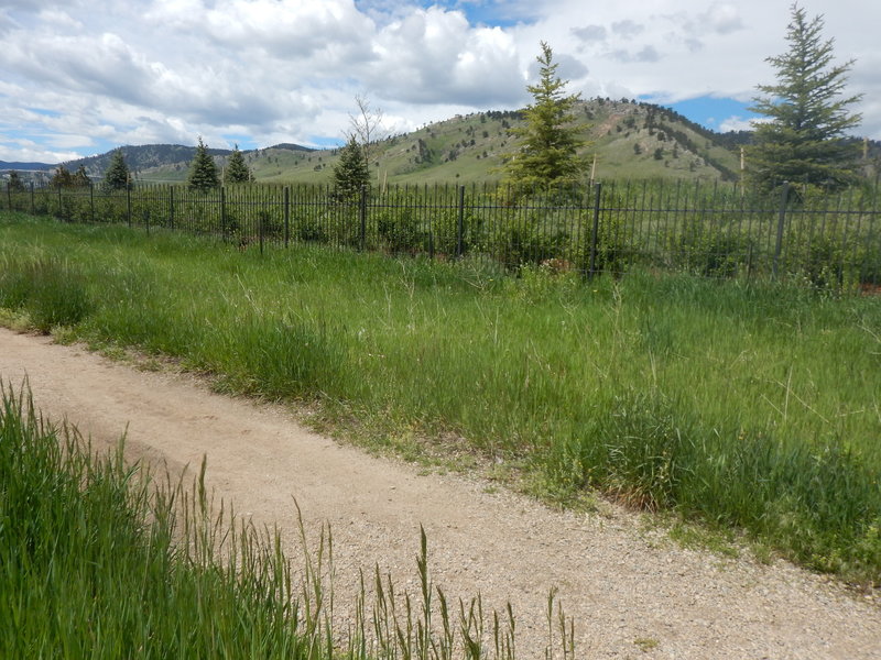 Looking west from the Foothills North Trail