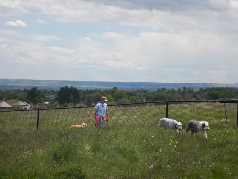 Off leash dog park